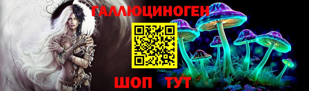 Сосновоборск  даркнет сайт  Псилоцибиновые грибы Psilocybe  Вход с VPN  Псилоцибиновые грибы ЛСД 