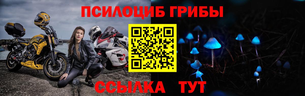 Псилоцибиновые грибы прущие грибы Сосновоборск